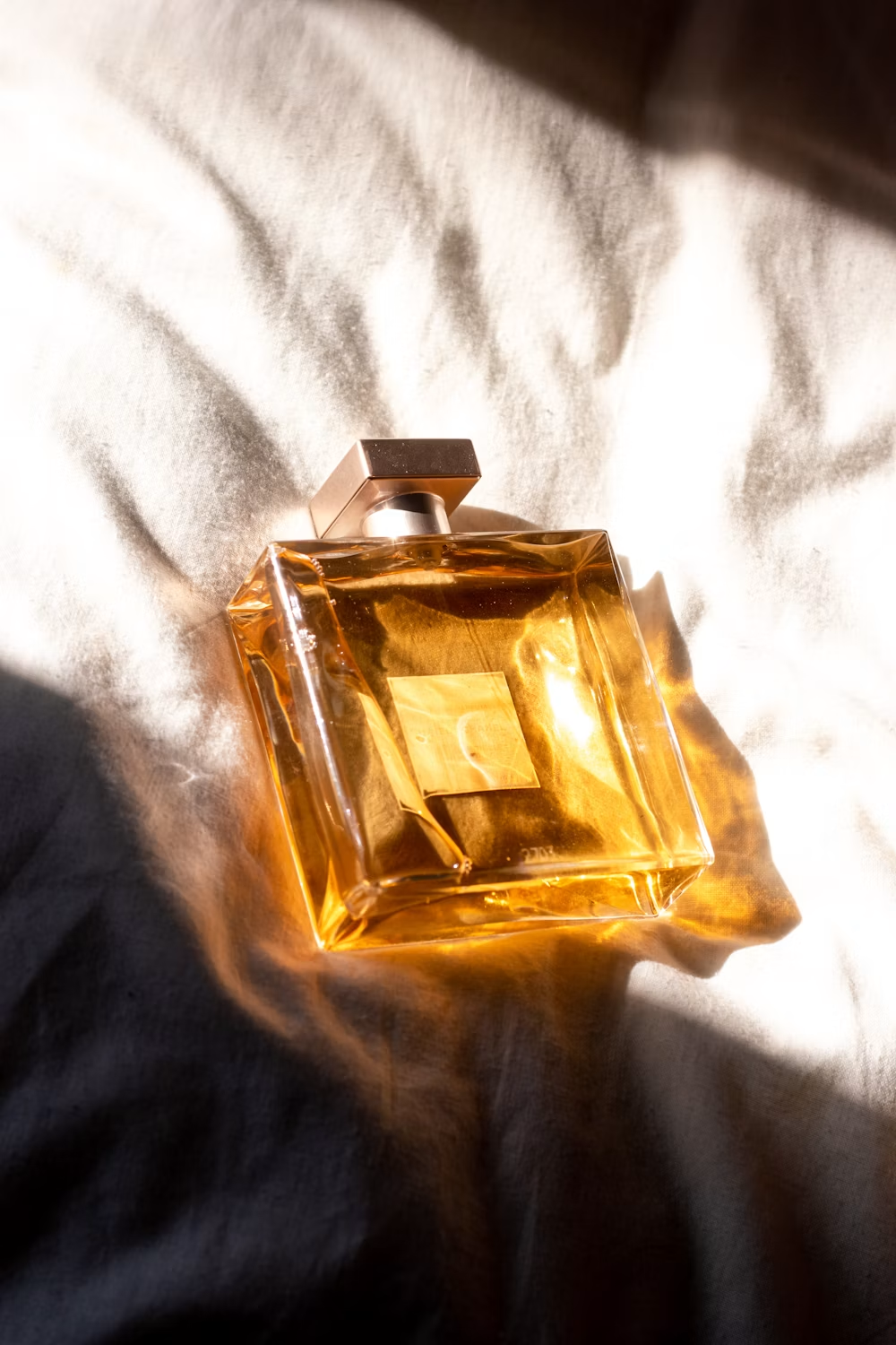 The Oud Exclusives